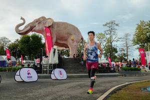 BIB: 
                            <button type="button" onclick="openModal(26529120)" class="btn btn-primary btn-sm float-right btn-popup" data-toggle="modal" data-target=".modal-high-quality">
                        <i class="fas fa-shopping-cart"></i> Add to Cart
                    </button>
                                            <button type="button" onclick="isThisMe(26529120, true)" class="btn btn-success btn-sm float-right btn-popup btn-isme hidden" data-toggle="tooltip" data-placement="bottom" title="นี่คือรูปของคุณใช่ไหม คลิกที่นี่เพื่อเอาเข้าอัลบั้ม">
                        <i class="fas fa-plus"></i> Add to album
                    </button>
                    <button type="button" onclick="isThisMe(26529120, false)" class="btn btn-warning btn-sm float-right btn-popup btn-isnotme hidden">
                        <i class="fas fa-ban"></i> Remove from album
                    </button>